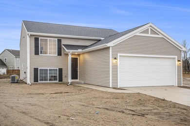 Beach Home For Sale in Bridgman, Michigan