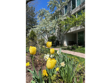 Beach Townhome/Townhouse Active Under Contract in Evanston, Illinois