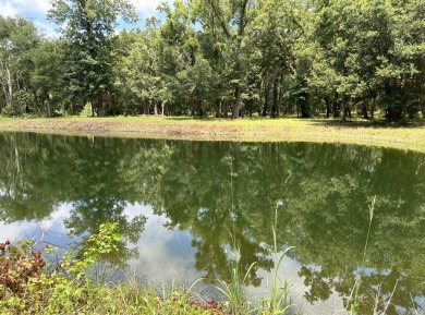 Beach Lot For Sale in Edisto Island, South Carolina