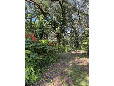 Beach Lot For Sale in Port Orange, Florida