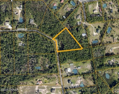 Beach Acreage For Sale in Ormond Beach, Florida