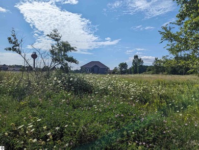 Beach Lot For Sale in Au Gres, Michigan