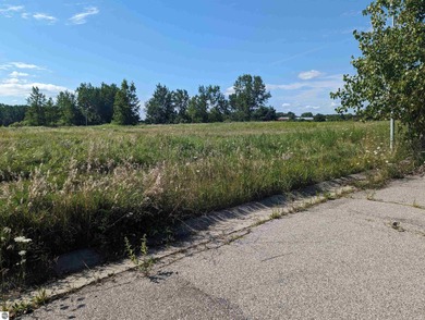 Beach Lot For Sale in Au Gres, Michigan
