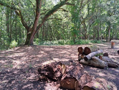 Beach Lot Active Under Contract in Charleston, South Carolina