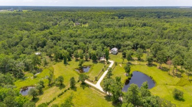 Beach Home For Sale in Wadmalaw Island, South Carolina