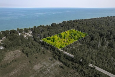 Beach Acreage For Sale in Douglas, Michigan