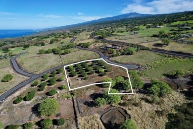 Beach Acreage For Sale in Kealakekua, Hawaii