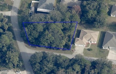 Beach Lot Active Under Contract in Palm Coast, Florida
