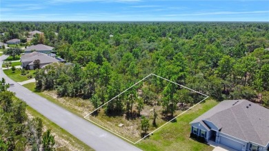 Beach Lot Off Market in Homosassa, Florida