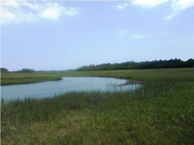 Beach Acreage Sale Pending in Edisto Island, South Carolina