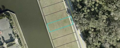 Beach Lot For Sale in Palm Coast, Florida