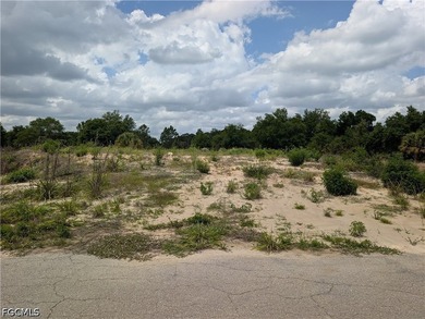 Beach Lot For Sale in Lehigh Acres, Florida