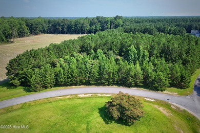 Beach Lot For Sale in Arapahoe, North Carolina