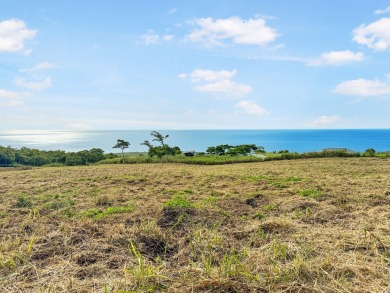 Beach Acreage For Sale in Captain Cook, Hawaii