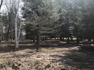 Beach Lot For Sale in South Haven, Michigan