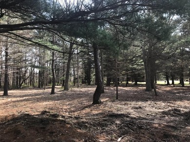 Beach Lot For Sale in South Haven, Michigan