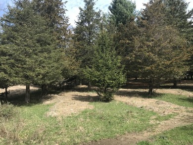 Beach Lot For Sale in South Haven, Michigan