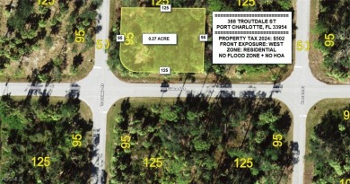Beach Lot For Sale in Port Charlotte, Florida