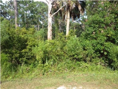 Beach Lot For Sale in Carabelle, Florida