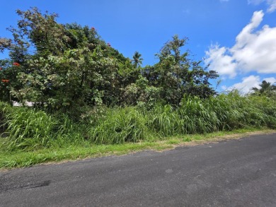 Beach Lot Active Under Contract in Pahoa, Hawaii