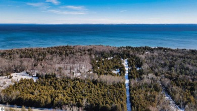 Beach Acreage For Sale in Northport, Michigan