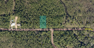 Beach Lot For Sale in Milton, Florida