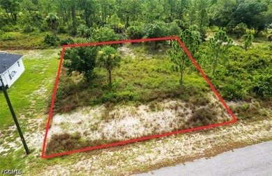 Beach Lot For Sale in Lehigh Acres, Florida