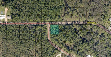 Beach Lot For Sale in Milton, Florida