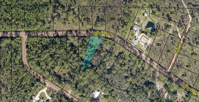 Beach Lot For Sale in Milton, Florida