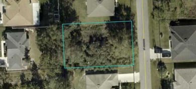 Beach Lot Sale Pending in Palm Coast, Florida