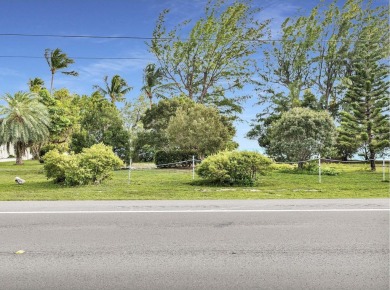 Beach Lot For Sale in Lower Matecumbe Key, Florida
