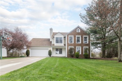 Beach Home For Sale in Avon Lake, Ohio