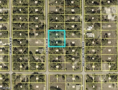 Beach Lot For Sale in Lehigh Acres, Florida