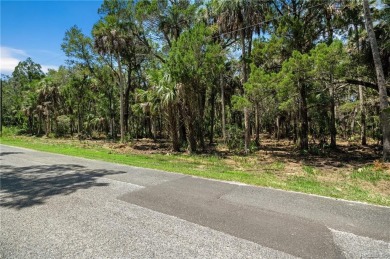 Beach Lot Off Market in Homosassa, Florida