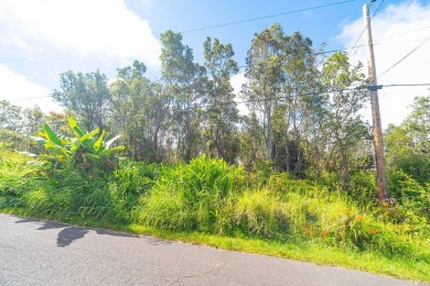 Beach Lot For Sale in Volcano, Hawaii