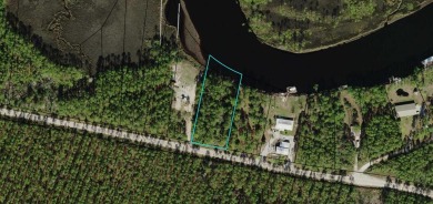 Beach Lot For Sale in Carabelle, Florida