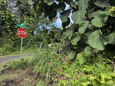 Beach Lot For Sale in Pahoa, Hawaii