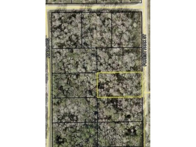 Beach Lot For Sale in Bunnell, Florida