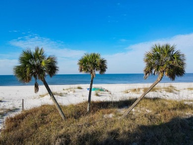Beach Lot For Sale in Port St Joe, Florida
