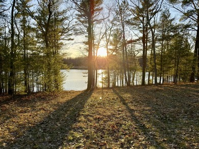 Beach Lot For Sale in Manistee, Michigan