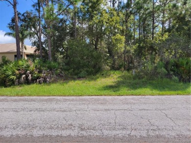 Beach Lot Off Market in Homosassa, Florida