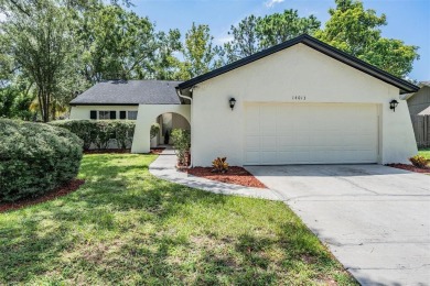 Beach Home Sale Pending in Tampa, Florida