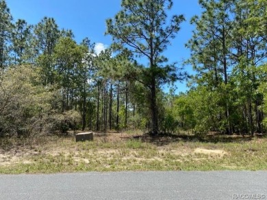 Beach Lot Off Market in Homosassa, Florida