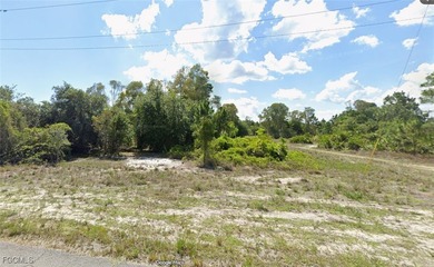 Beach Lot For Sale in Lehigh Acres, Florida