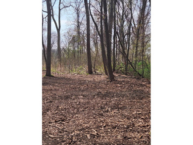 Beach Lot For Sale in New Buffalo, Michigan