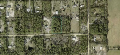 Beach Lot For Sale in Bunnell, Florida