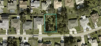 Beach Lot For Sale in Palm Coast, Florida