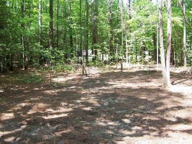 Beach Lot For Sale in Heathsville, Virginia