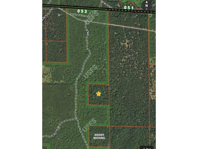 Beach Acreage For Sale in Free Soil, Michigan