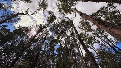 Beach Lot For Sale in Volcano, Hawaii